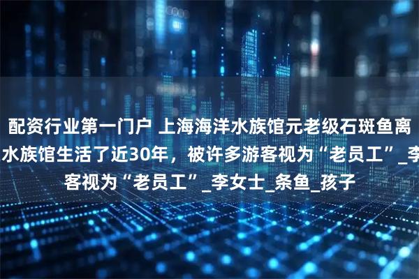 配资行业第一门户 上海海洋水族馆元老级石斑鱼离世,这条石斑鱼在水族馆生活了近30年，被许多游客视为“老员工”_李女士_条鱼_孩子